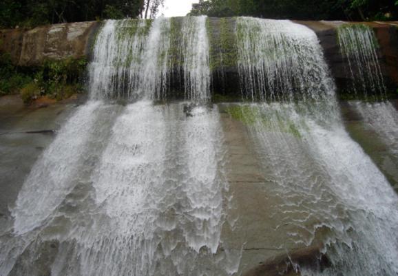 Alojamiento Campestre. San Carlos, Antioquia. Hotel Bagian luar foto